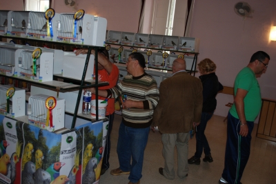 Annual show 2014_11