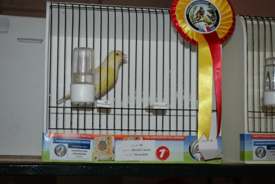 Annual show 2014_18