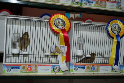 Annual show 2014_32