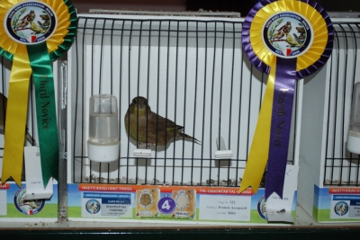 Annual show 2014_34