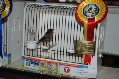 Annual show 2014_39