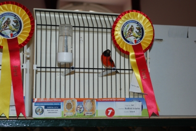 Annual show 2014_40