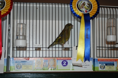 Annual show 2014_44