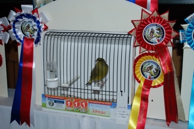 Annual show 2014_52