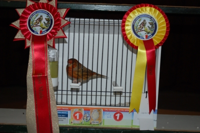 Annual show 2014_56