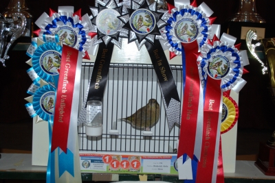 Annual show 2014_58
