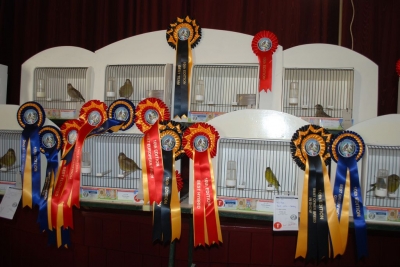 Annual show November 2016_4