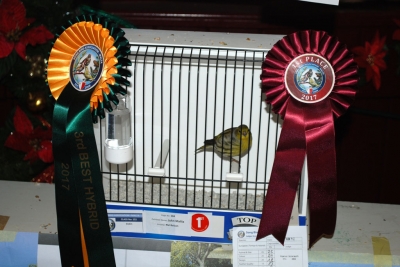 John Mallia 3rd Best Hybrid_1