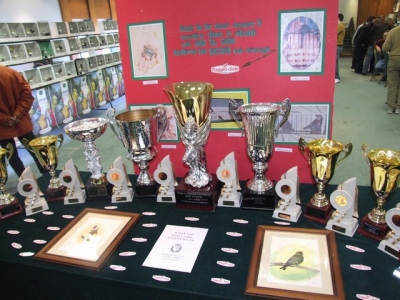 2nd Annual Show-Mosta_15